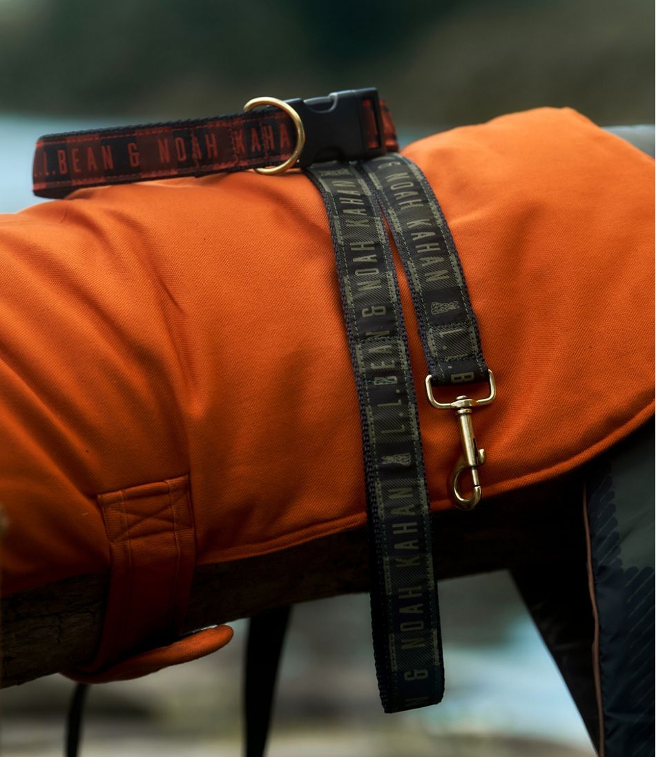 L.L.Bean | & Noah Kahan Novelty Dog Collar