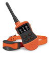 Hunter Orange