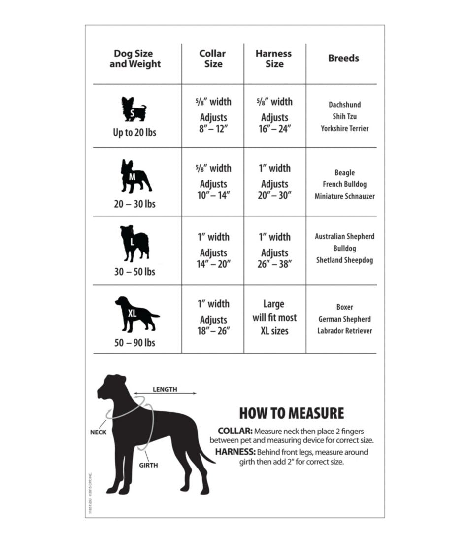 L.L.Bean On Sale | Personalized Pet Collar, Reflective